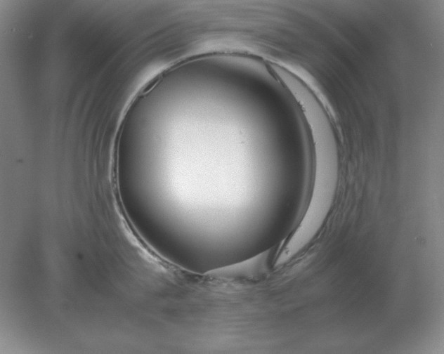 X0000078000815200611101752