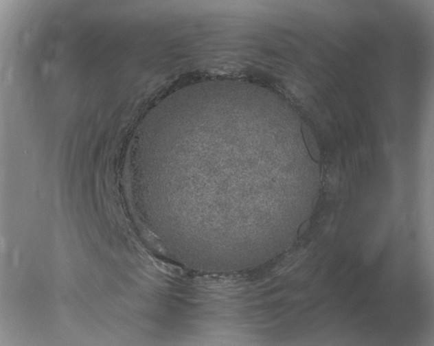 X0000078000817200611101752