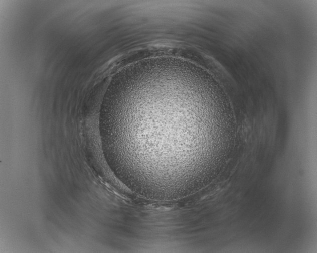 X0000078000821200611101752