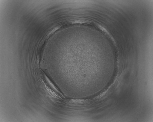 X0000078000825200611101752