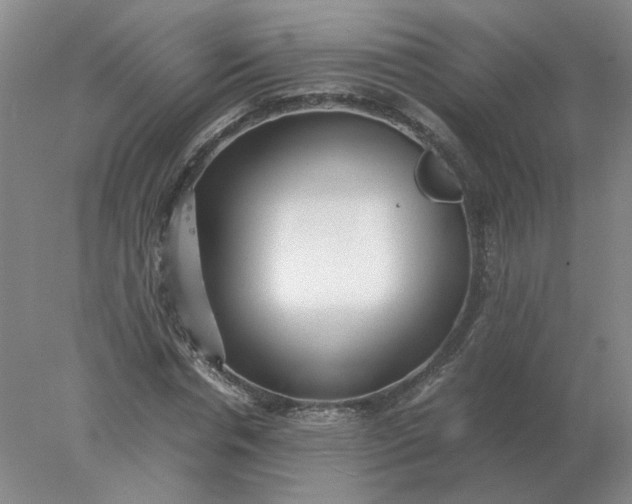 X0000078000826200611101752