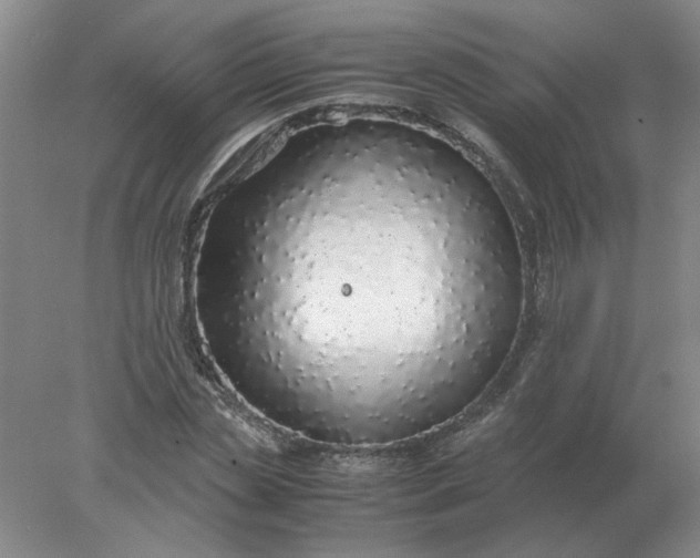 X0000078000829200611101752