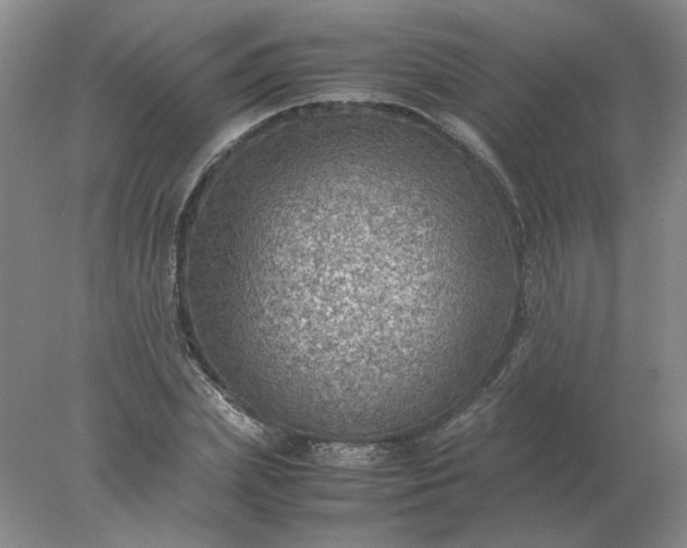 X0000078000831200611101752