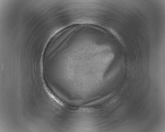 X0000078000840200611101752