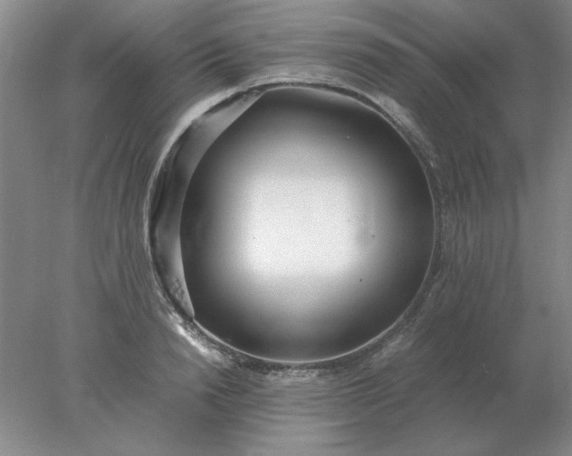 X0000078000846200611101752
