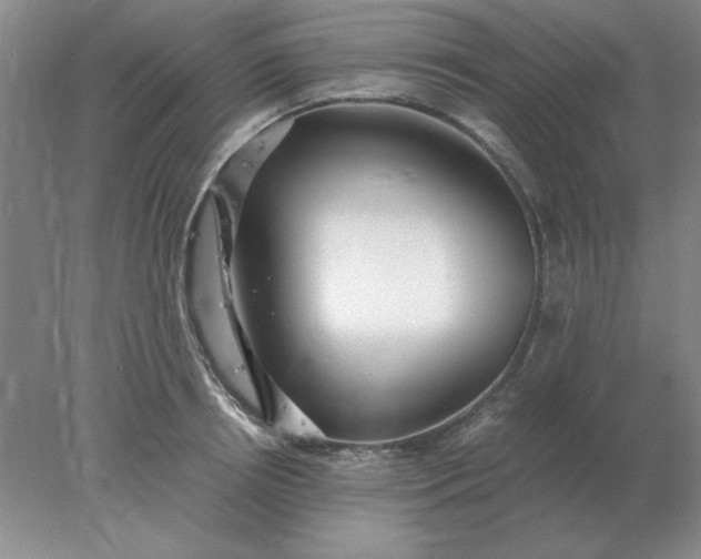X0000078000850200611101752