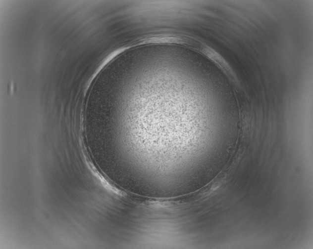 X0000078000852200611101752
