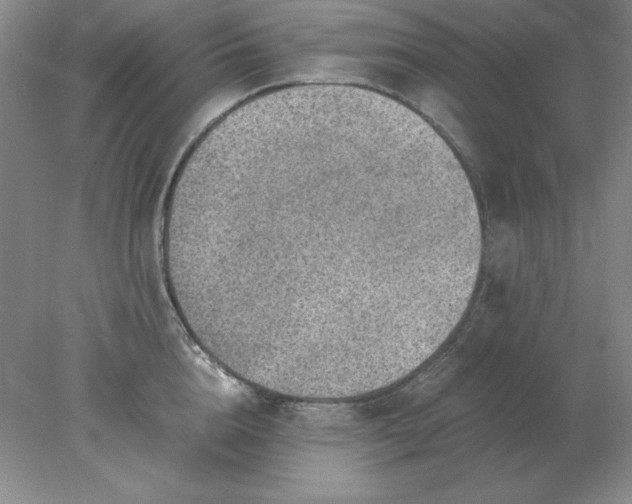 X0000078000856200611101752
