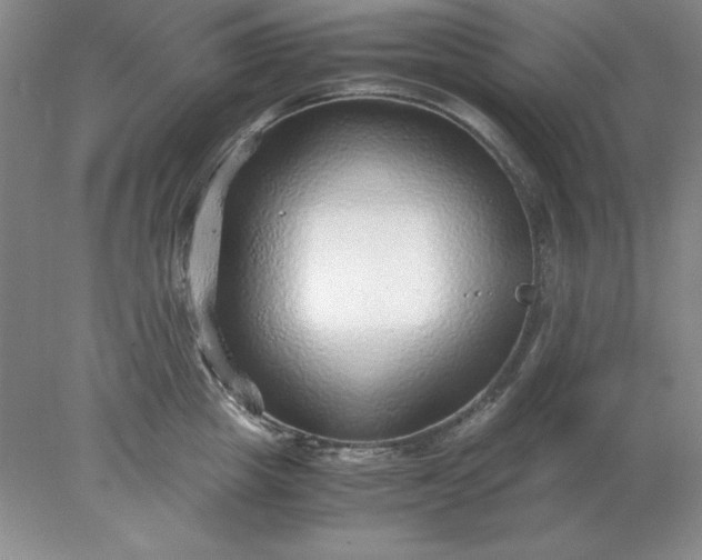 X0000078000857200611101752