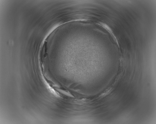 X0000078000859200611101752