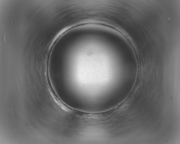 X0000078000862200611101752