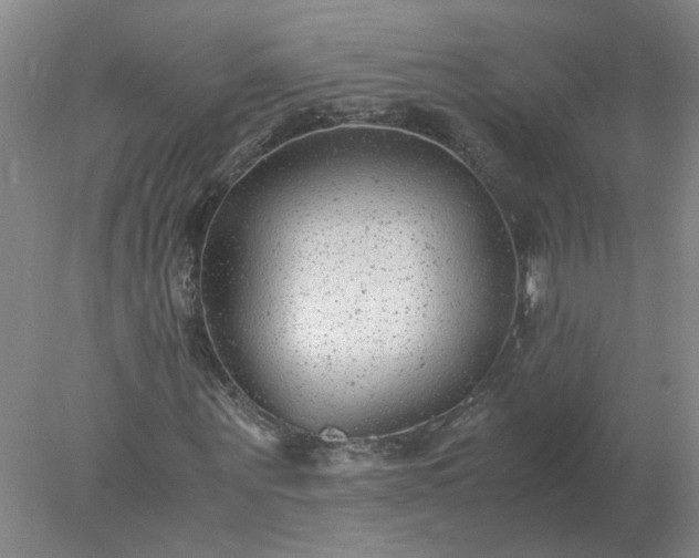 X0000078000867200611101751