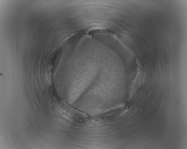 X0000078000868200611101751
