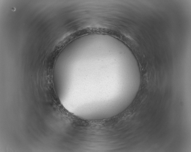 X0000078000870200611101751