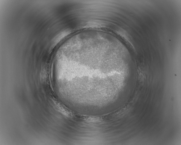 X0000078000874200611101751