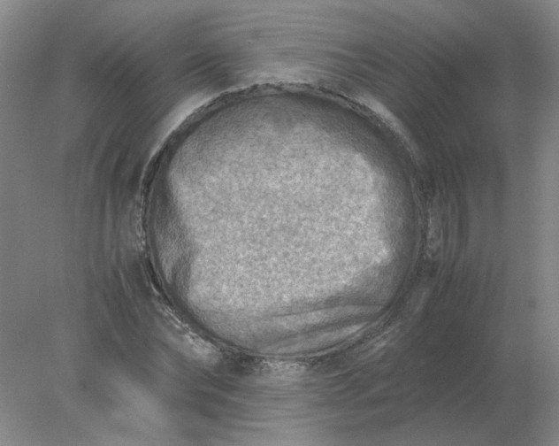 X0000078000878200611101751