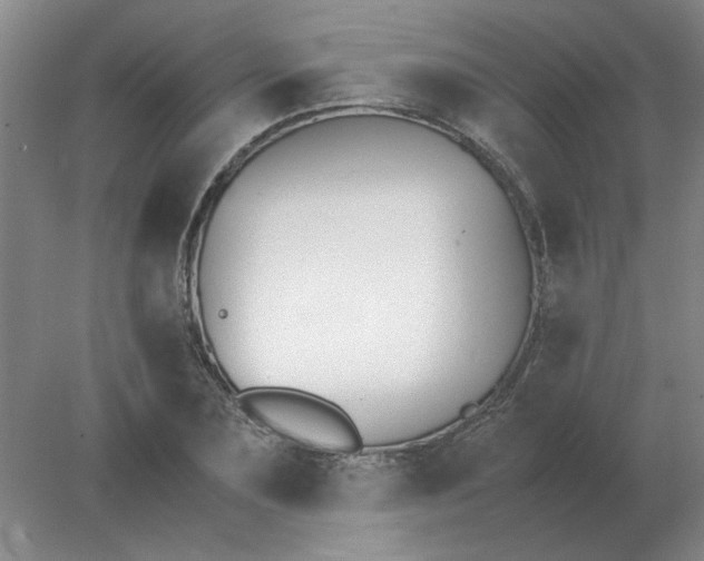 X0000078000883200611101751