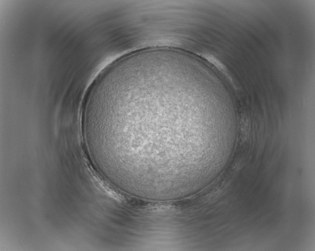 X0000078000886200611101751