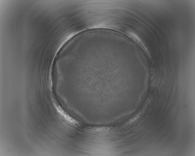 X0000078000892200611101751