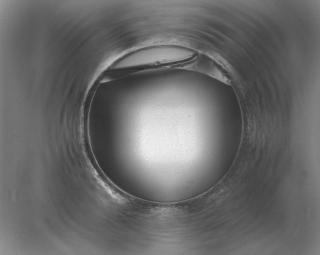 X0000078000894200611101751