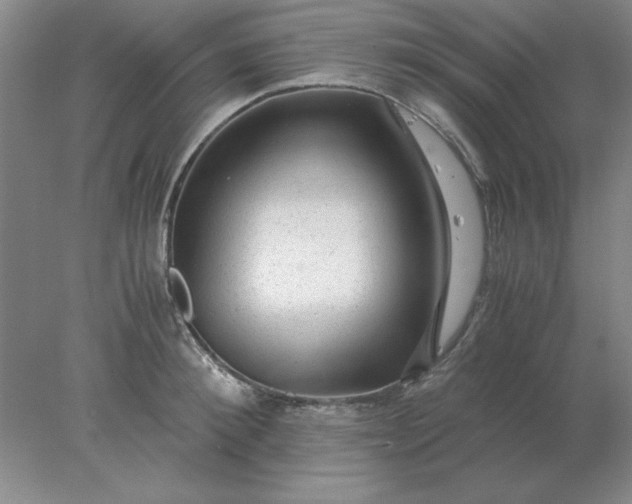 X0000078000900200611101751