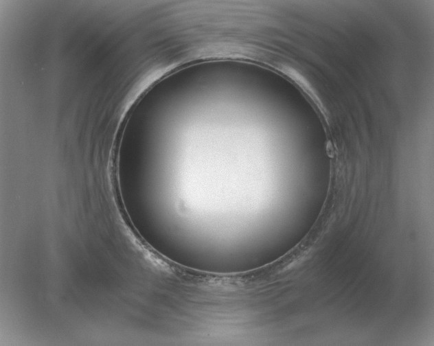 X0000078000901200611101751