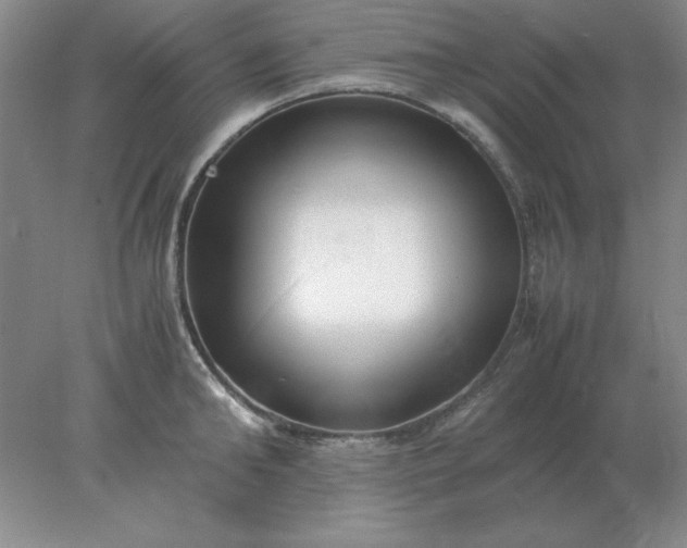 X0000078000902200611101751