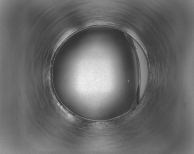 X0000078000906200611101751