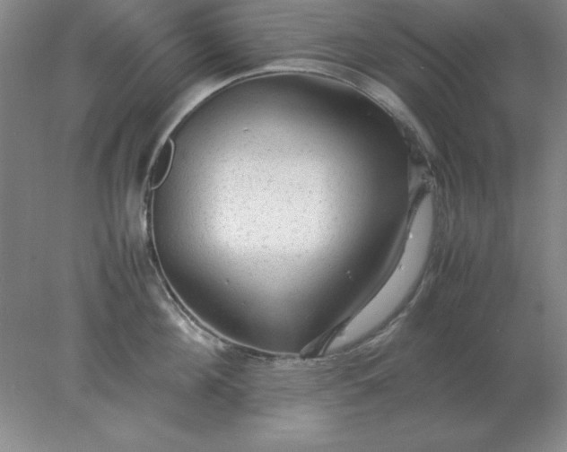 X0000078000908200611101751