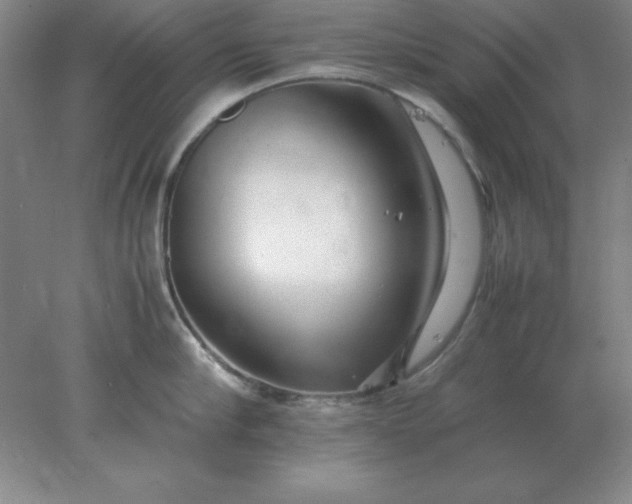X0000078000910200611101751