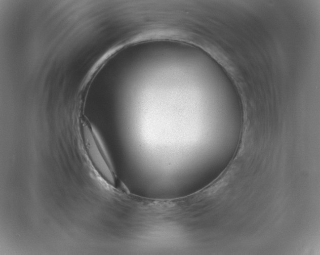 X0000078000912200611101751