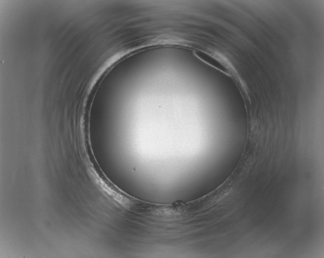 X0000078000947200611101751