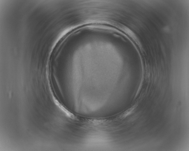 X0000078000958200611101751