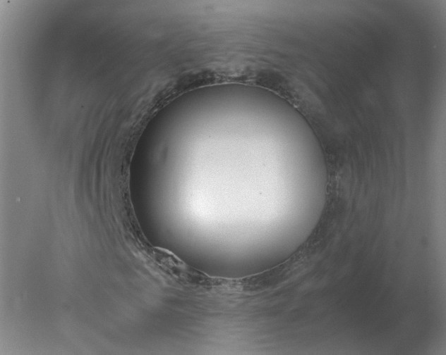 X0000078000961200611101750