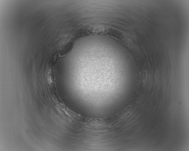 X0000078000962200611101750