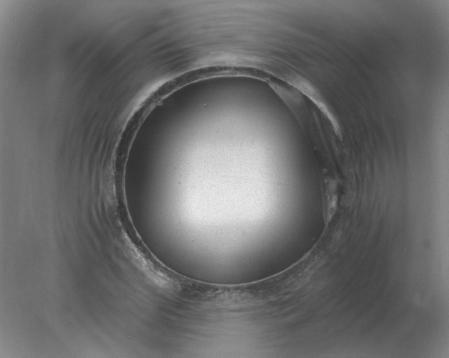 X0000078000972200611101750