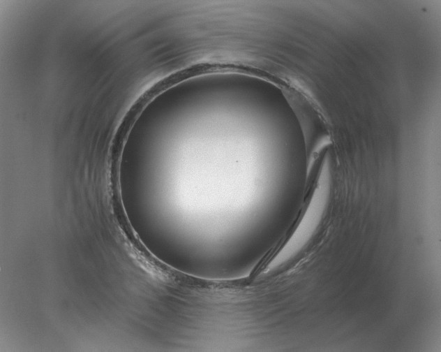 X0000078000976200611101750