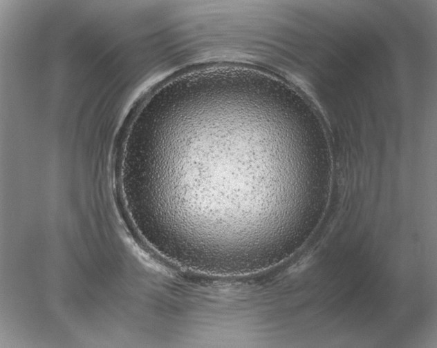 X0000078000987200611101749