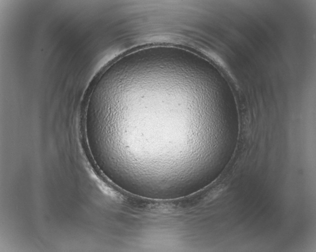X0000078000991200611101749