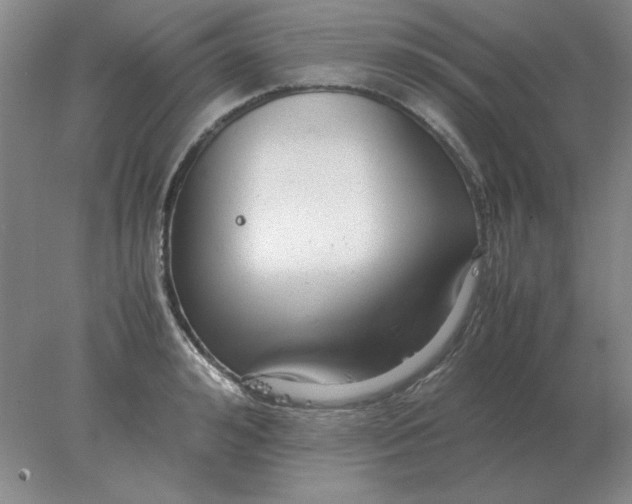 X0000078000992200611101749
