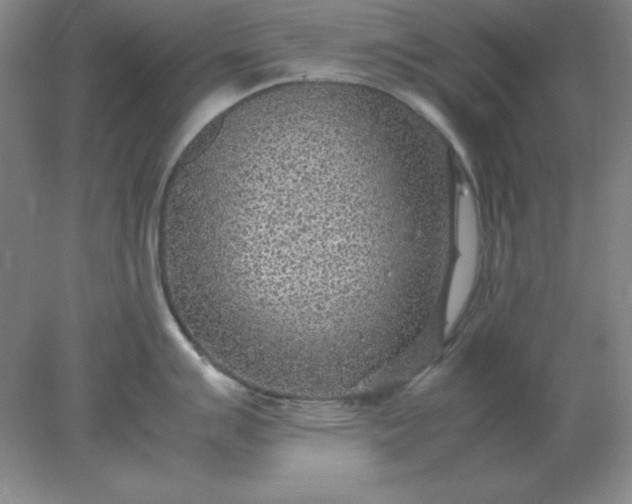 X0000078001007200611101749