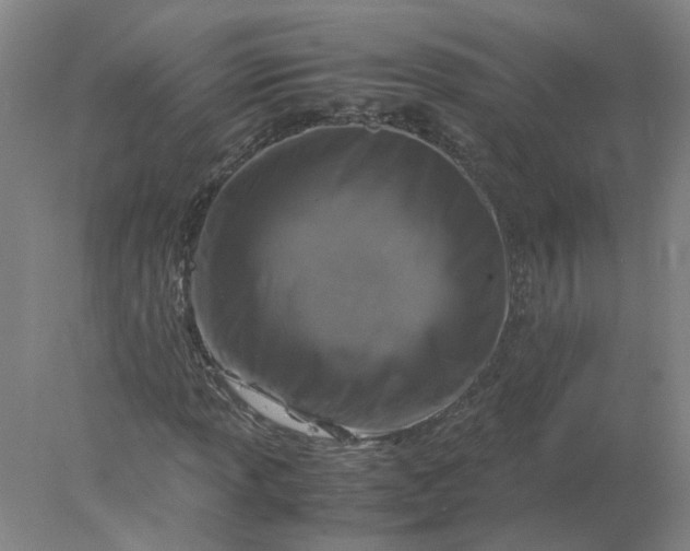 X0000078001013200611101748