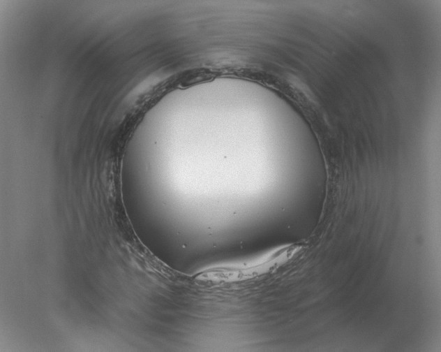 X0000078001016200611101748