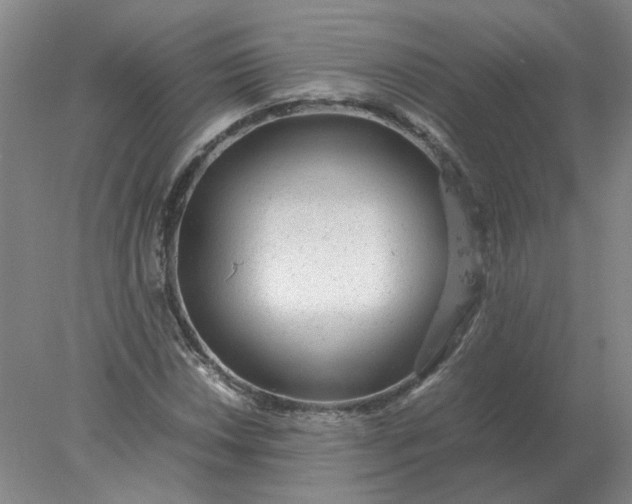 X0000078001018200611101748