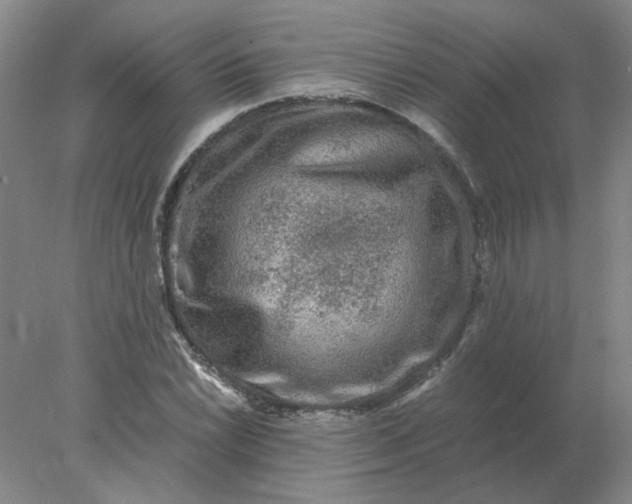 X0000078001022200611101749