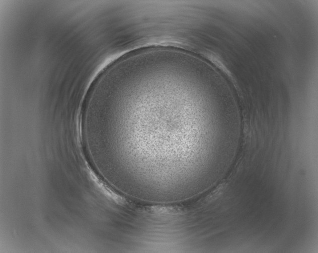 X0000078001032200611101749