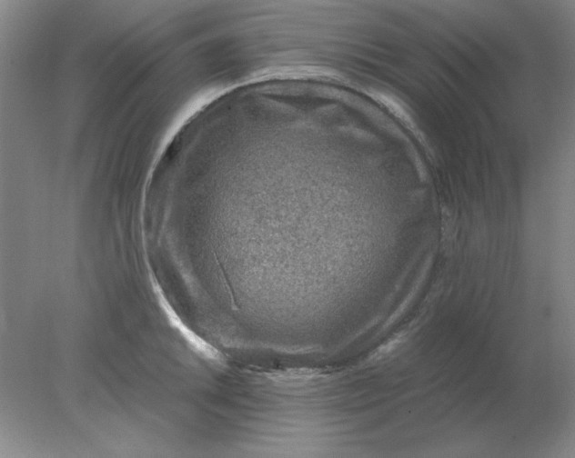 X0000078001046200611101749