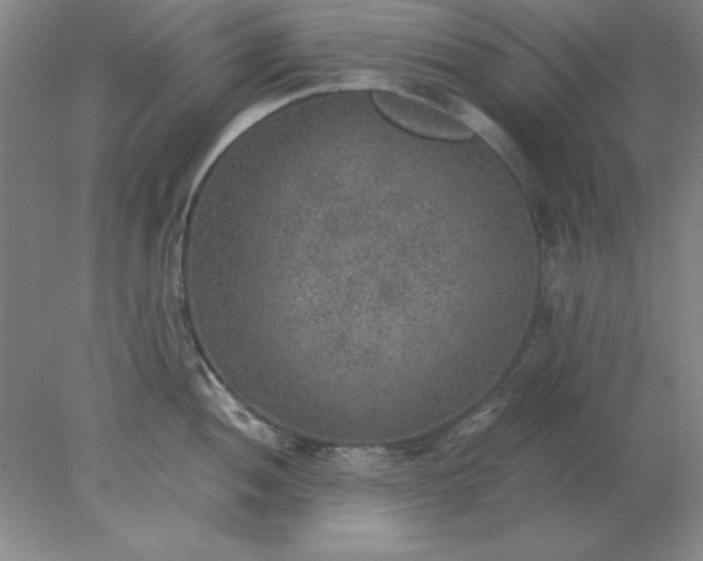 X0000078001052200611101749
