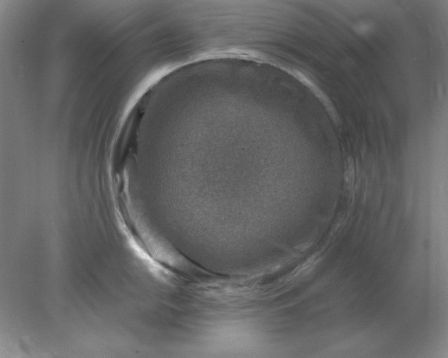 X0000078001054200611101749