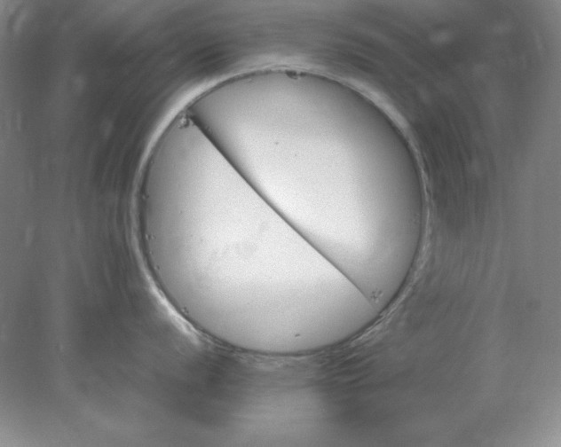 X0000078001056200611101749